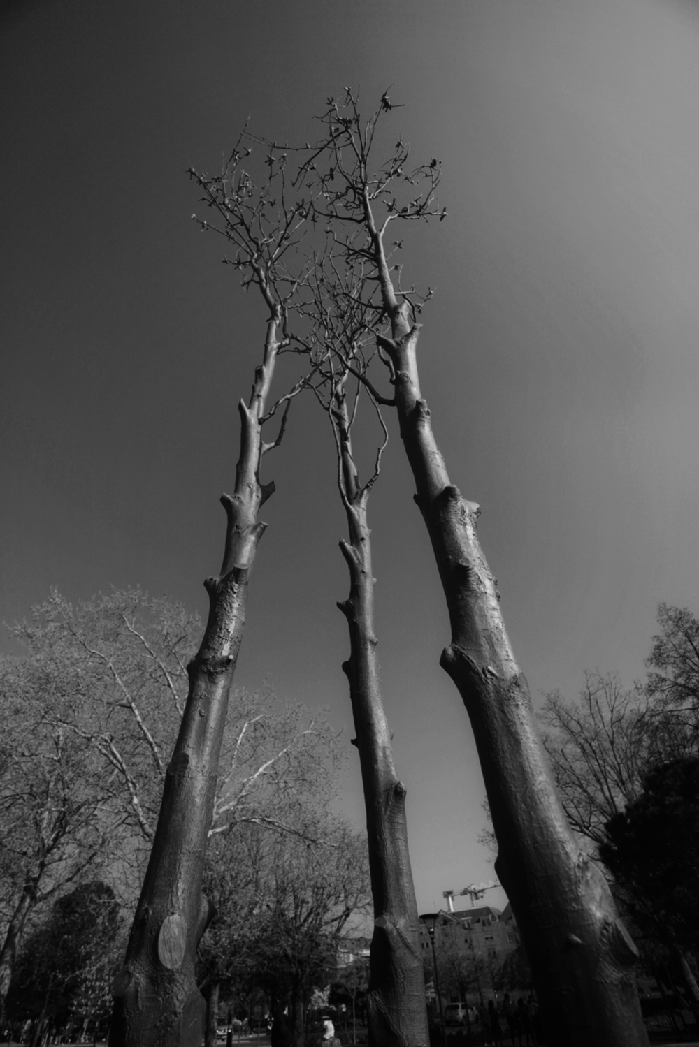 tree sculpture