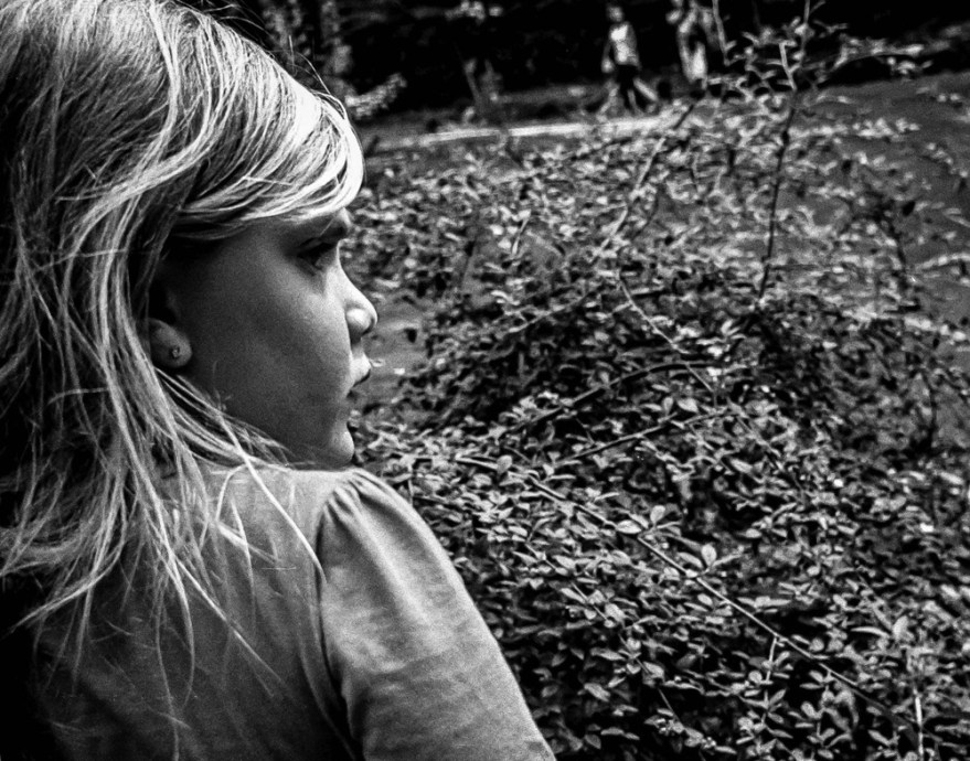 The Enduring Elegance of Vintage Cameras: A Personal&nbsp;Journey