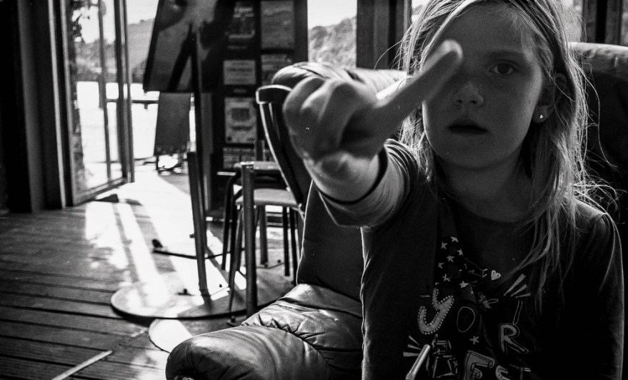 The Opening of the Film Archives—the Hangar à Bananes August&nbsp;2016