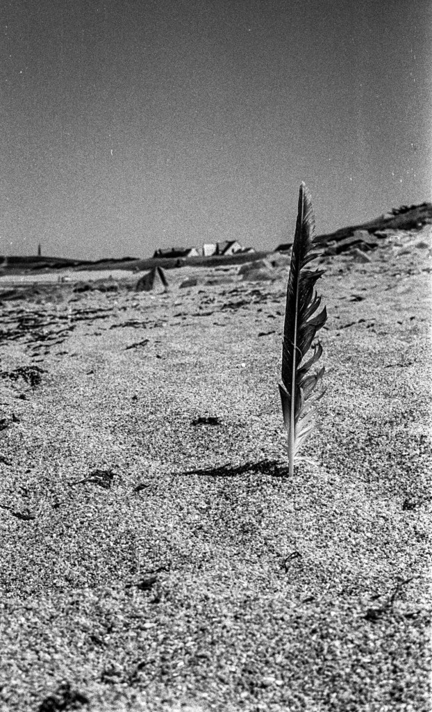 The Opening of the Film Archives – Penthièvres July&nbsp;2016