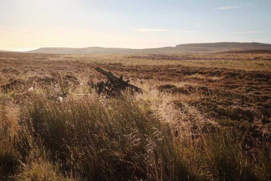 The UK Chronicles, Part IV: Alnwick to&nbsp;Rothbury