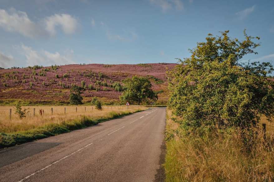 The UK Chronicles, Part V: Rothbury to&nbsp;Hepple